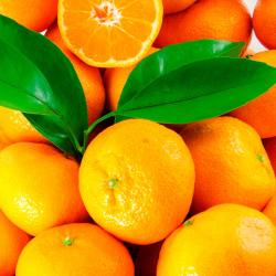 Mandalina