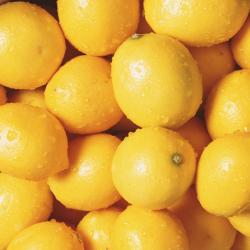 Limon